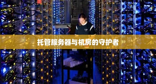 托管服务器与机房的守护者