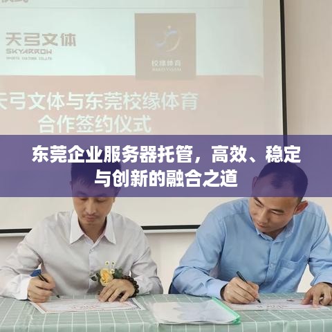 东莞企业服务器托管，高效、稳定与创新的融合之道