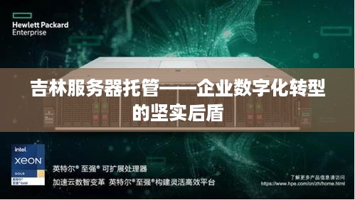 吉林服务器托管——企业数字化转型的坚实后盾