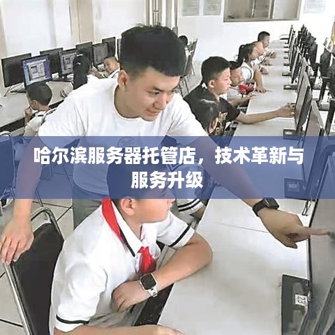 哈尔滨服务器托管店，技术革新与服务升级