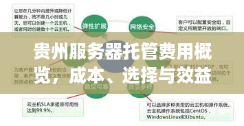 贵州服务器托管费用概览，成本、选择与效益分析