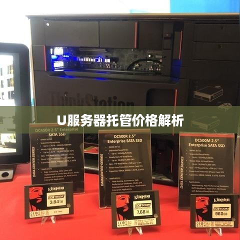 U服务器托管价格解析