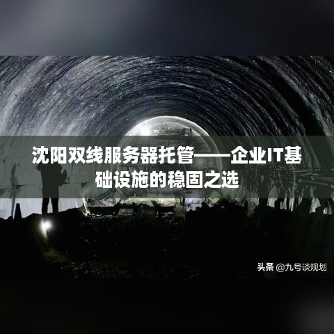 沈阳双线服务器托管——企业IT基础设施的稳固之选