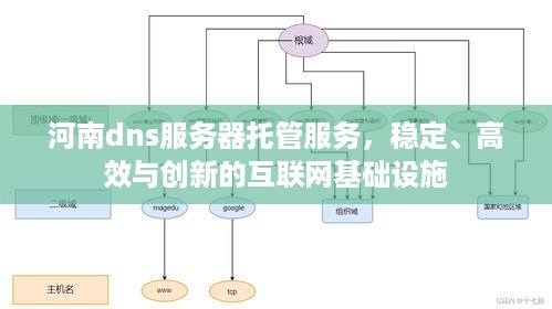 河南dns服务器托管服务，稳定、高效与创新的互联网基础设施