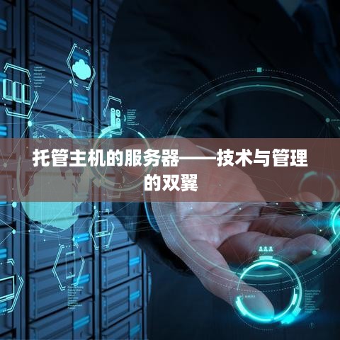 托管主机的服务器——技术与管理的双翼