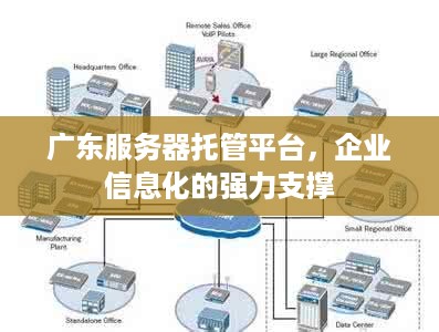 广东服务器托管平台，企业信息化的强力支撑