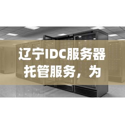 辽宁IDC服务器托管服务，为企业提供坚实的数字基础设施