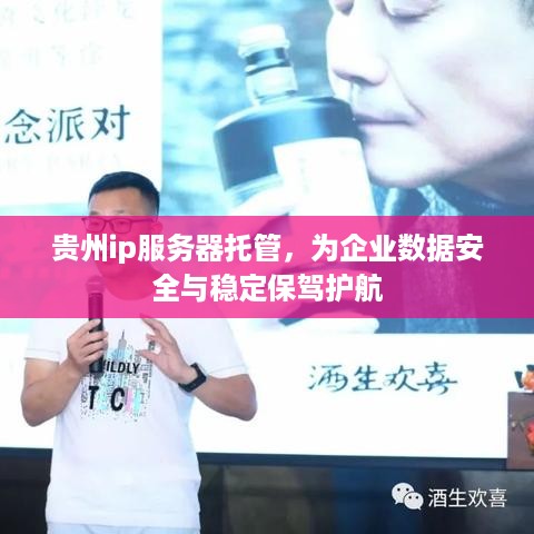 贵州ip服务器托管，为企业数据安全与稳定保驾护航