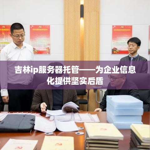 吉林ip服务器托管——为企业信息化提供坚实后盾