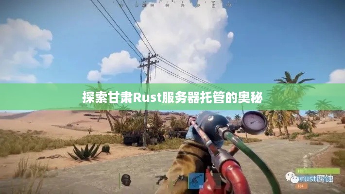 探索甘肃Rust服务器托管的奥秘