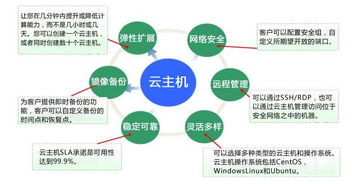 服务器托管，企业IT运营的坚实后盾