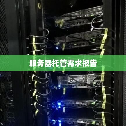 服务器托管需求报告