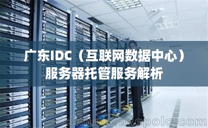 广东IDC（互联网数据中心）服务器托管服务解析