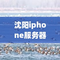 沈阳iphone服务器托管服务——高效稳定，为您的业务保驾护航