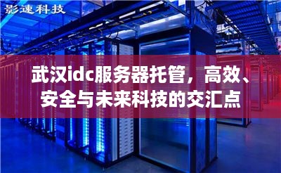 武汉idc服务器托管，高效、安全与未来科技的交汇点