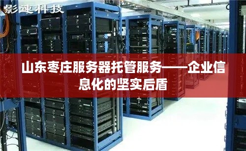 山东枣庄服务器托管服务——企业信息化的坚实后盾