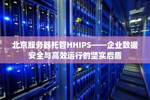 北京服务器托管HHIPS——企业数据安全与高效运行的坚实后盾