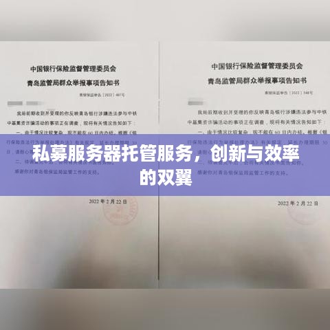 私募服务器托管服务，创新与效率的双翼