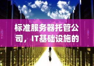 标准服务器托管公司，IT基础设施的守护神