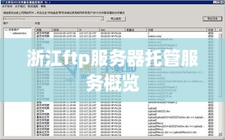 浙江ftp服务器托管服务概览