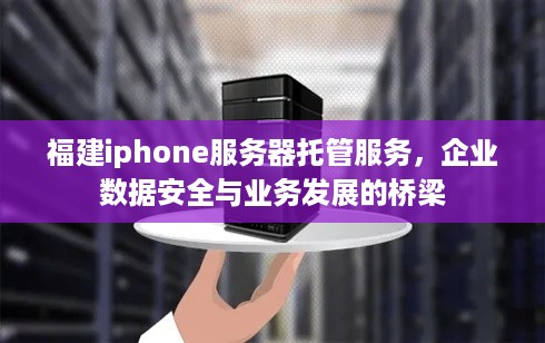 福建iphone服务器托管服务，企业数据安全与业务发展的桥梁