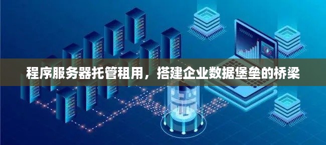 程序服务器托管租用，搭建企业数据堡垒的桥梁