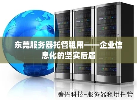 东莞服务器托管租用——企业信息化的坚实后盾