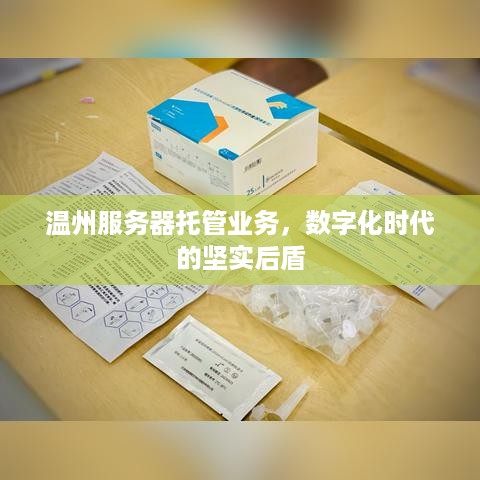 温州服务器托管业务，数字化时代的坚实后盾