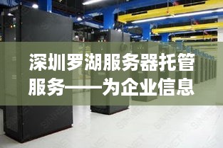 深圳罗湖服务器托管服务——为企业信息化提供坚实后盾