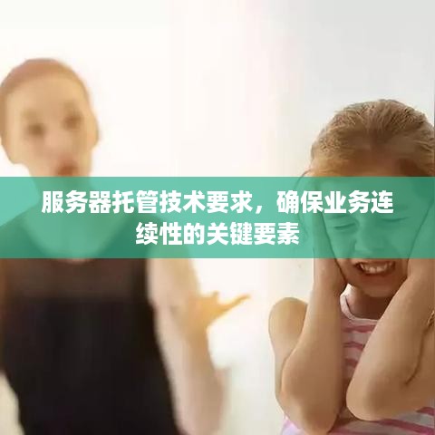 服务器托管技术要求，确保业务连续性的关键要素