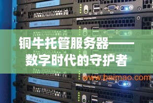 铜牛托管服务器——数字时代的守护者