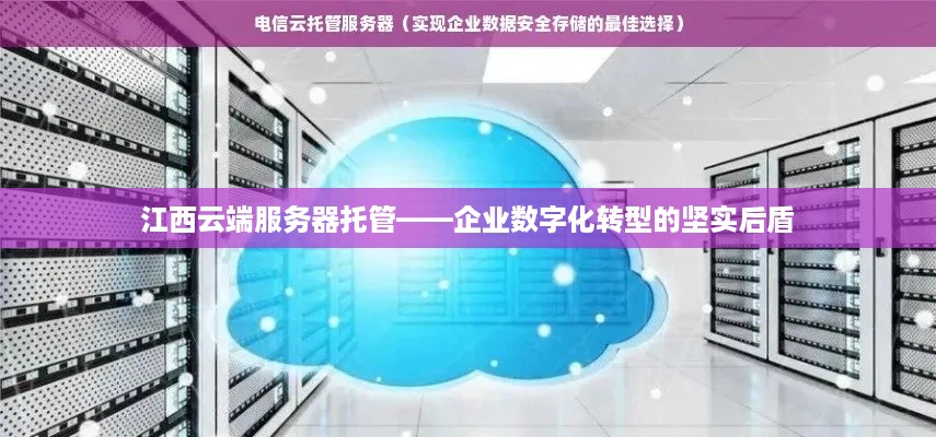 江西云端服务器托管——企业数字化转型的坚实后盾