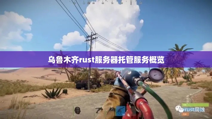 乌鲁木齐rust服务器托管服务概览