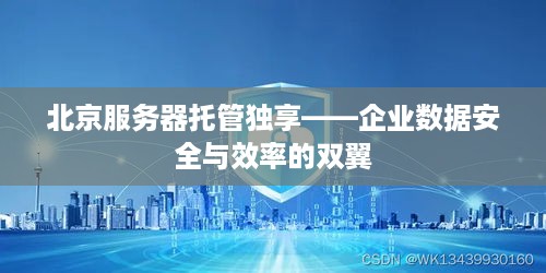 北京服务器托管独享——企业数据安全与效率的双翼