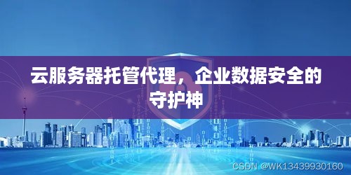 云服务器托管代理，企业数据安全的守护神