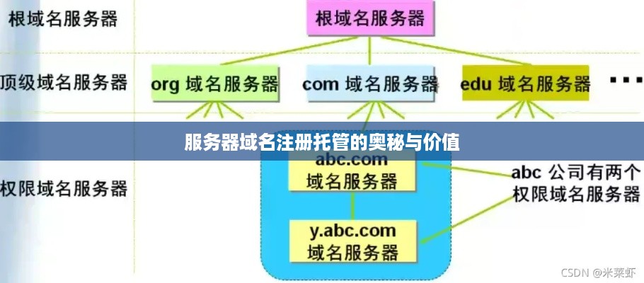 服务器域名注册托管的奥秘与价值