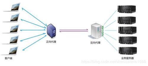 探索高性价比服务器托管服务，平衡成本与性能的艺术