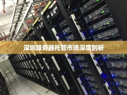 深圳服务器托管市场深度剖析