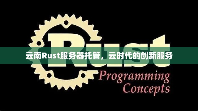 云南Rust服务器托管，云时代的创新服务