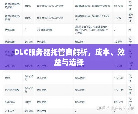 DLC服务器托管费解析，成本、效益与选择