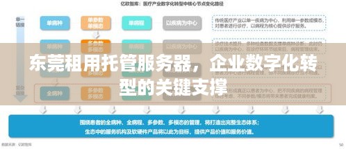 东莞租用托管服务器，企业数字化转型的关键支撑