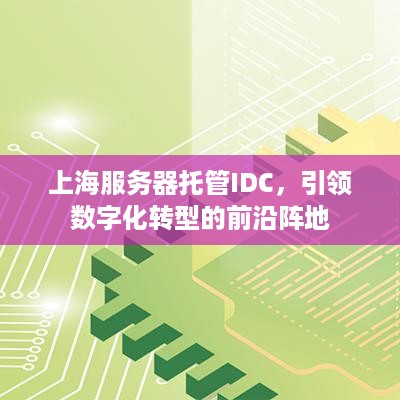 上海服务器托管IDC，引领数字化转型的前沿阵地