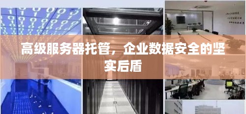 高级服务器托管，企业数据安全的坚实后盾