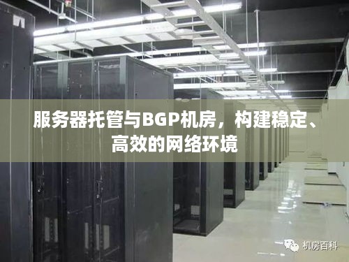 服务器托管与BGP机房，构建稳定、高效的网络环境