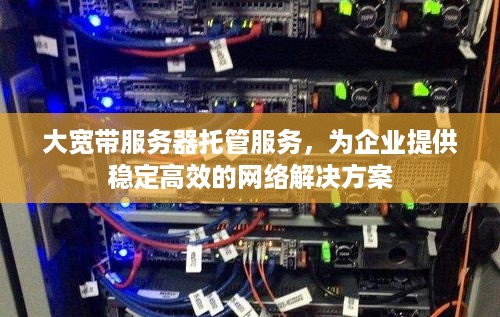 大宽带服务器托管服务，为企业提供稳定高效的网络解决方案