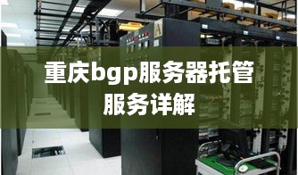 重庆bgp服务器托管服务详解