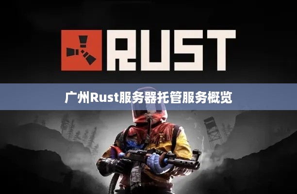 广州Rust服务器托管服务概览