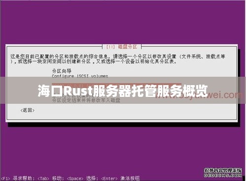 海口Rust服务器托管服务概览