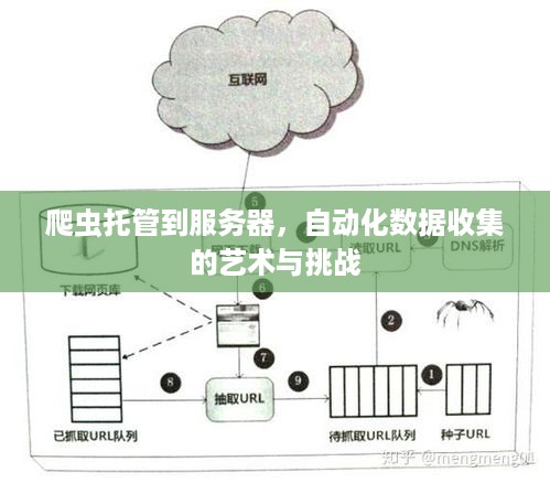 爬虫托管到服务器，自动化数据收集的艺术与挑战