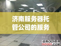 济南服务器托管公司的服务与挑战